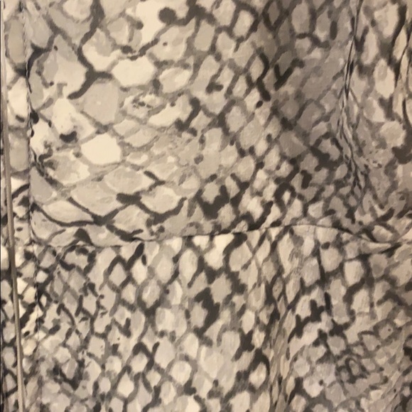 Snake Print Dress - Picture 3 of 3